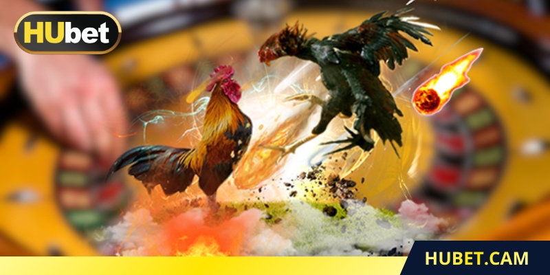 Xem nhiều trận để hiểu phong cách gà Mỹ